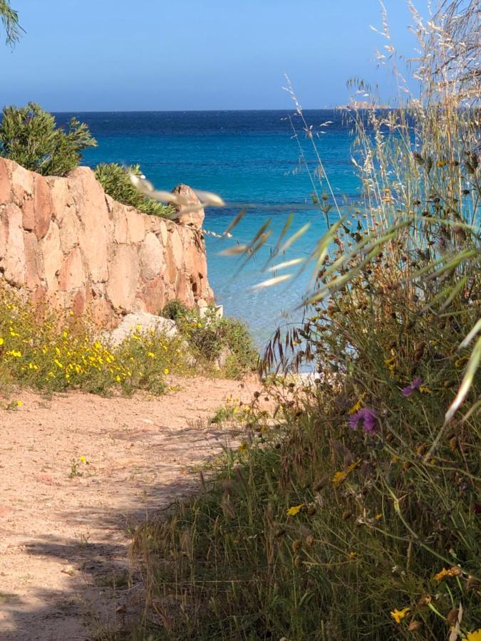 Palombaggia Villa Porto-Vecchio  Kültér fotó