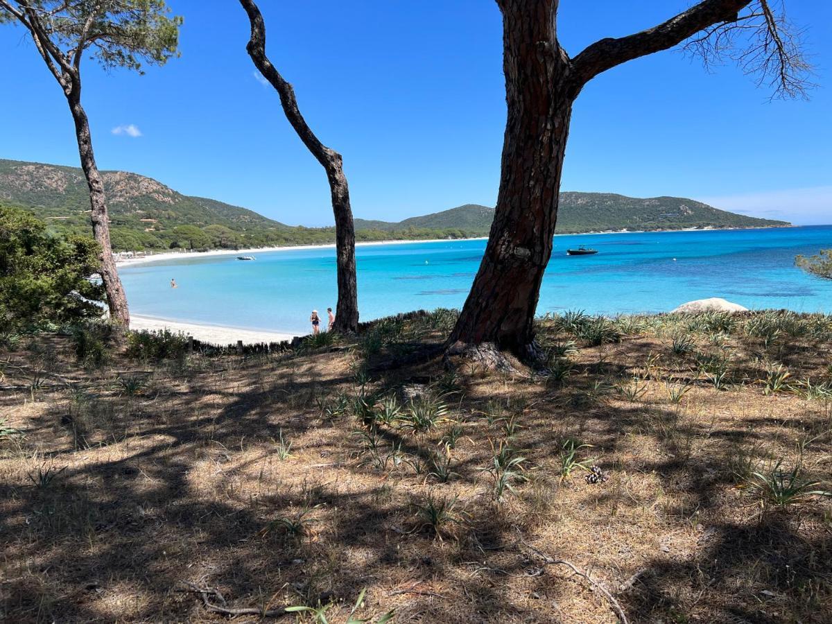 Palombaggia Villa Porto-Vecchio  Kültér fotó